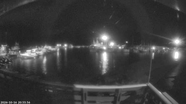Live camera
